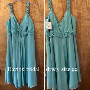 I bought this dress from David’s Bridal and never whore it! Love the color!!
